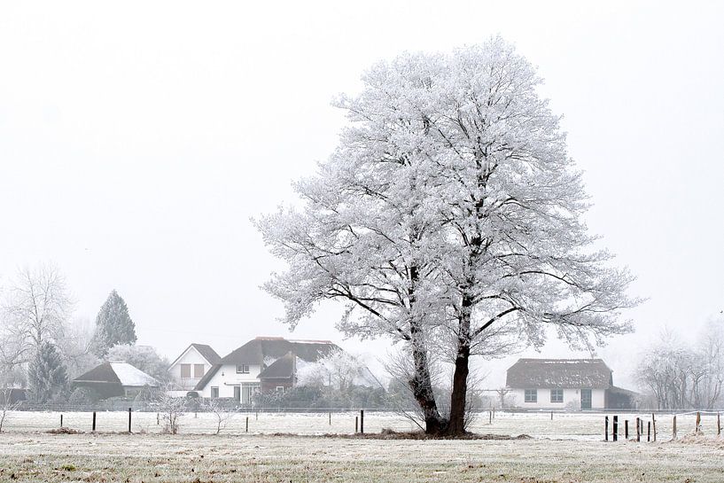 Winter wonderland van Robbie Veldwijk