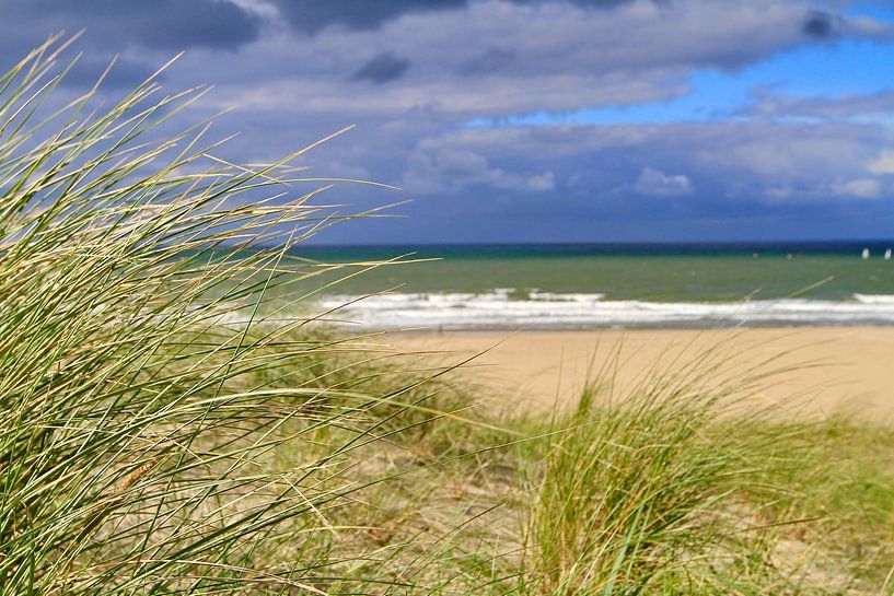 Dunes on the beach by Micky Bish