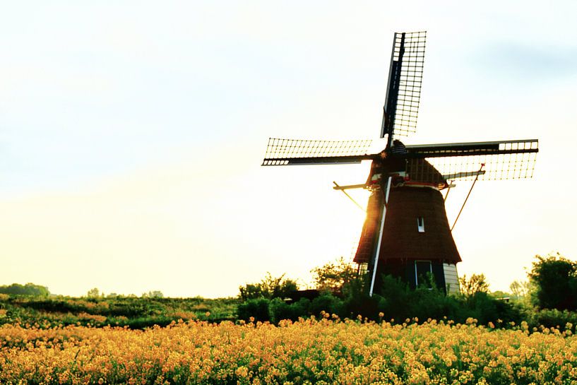 Spring sunrise at Windmill de Hommel in Haarlem by Ernst van Voorst