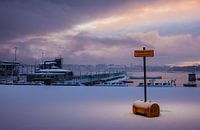 Geen winteronderhoud (2) van Brave Toaster Photos thumbnail