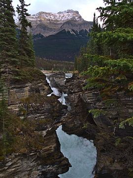 Wilde Athabasca Watervallen van Timon Schneider