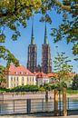 WROCLAW Cathedral of St. John the Baptist by Melanie Viola thumbnail