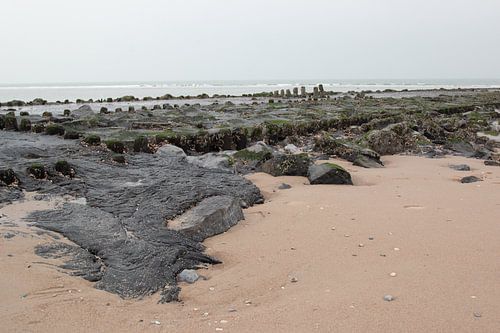 Op het strand van Vlieland in Nederland.