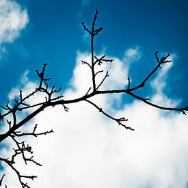 De 1e dag waarop je de lente ruikt van Tessa de Geus