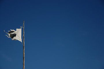 Korsika-Fahne im Wind von Markus Bachmann