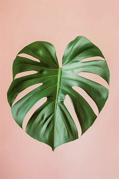 Feuille de monstera sur fond rose sur Lauren Wilde