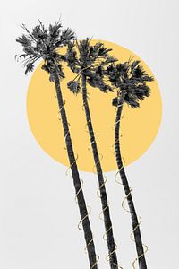 Palmbomen in de zon van Melanie Viola