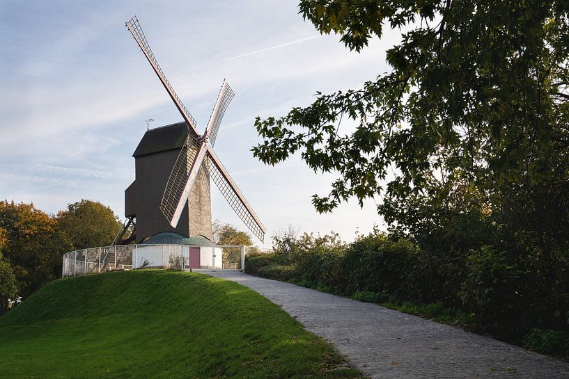 Windmills of Bruges, Flanders, Belgium by Alexander Ludwig