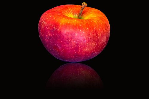 FRUIT : APPELREFLECTIE