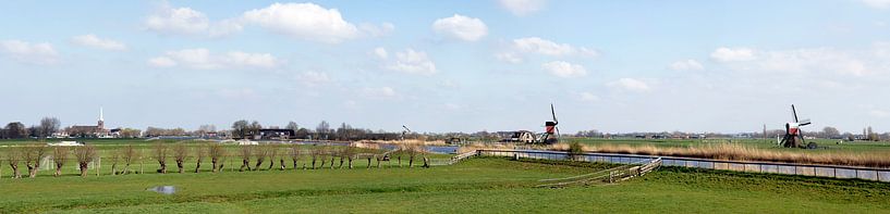 Polderlandschaft mit Windmühlen bei Hoogmade von Carel van der Lippe