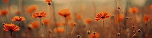 Nostalgic Nature No 14