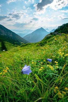 Bloemen in de bergen van Leo Schindzielorz