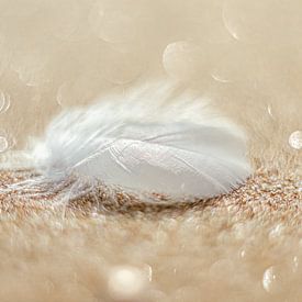 Une plume sur Yanuschka | Fotografie Noordwijk