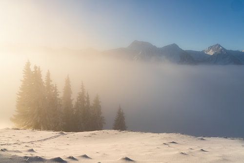 Verse sneeuw in het Tannheimer Tal. Boven de wolken naar de zonsopgang
