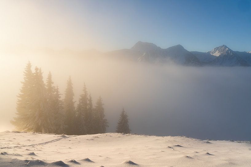Fresh snow in the Tannheimer Valley. Above the clouds to the sunrise by Daniel Pahmeier