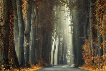The Old and Rusty Road sur Martin Podt