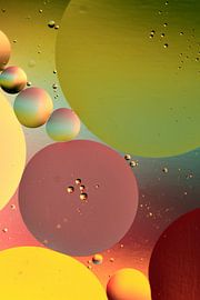  Magic Collors sur Marcel van Rijn