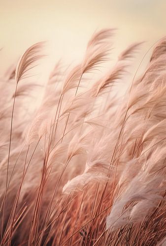 Ethereal Winged Splendour