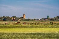 Het Friese landschap gekleurd door een zomeravondzon van Harrie Muis thumbnail