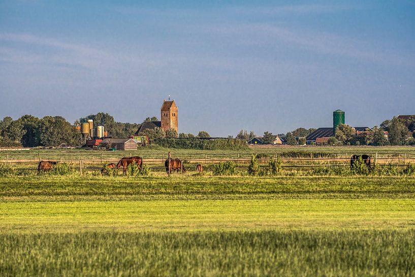 Het Friese landschap gekleurd door een zomeravondzon van Harrie Muis