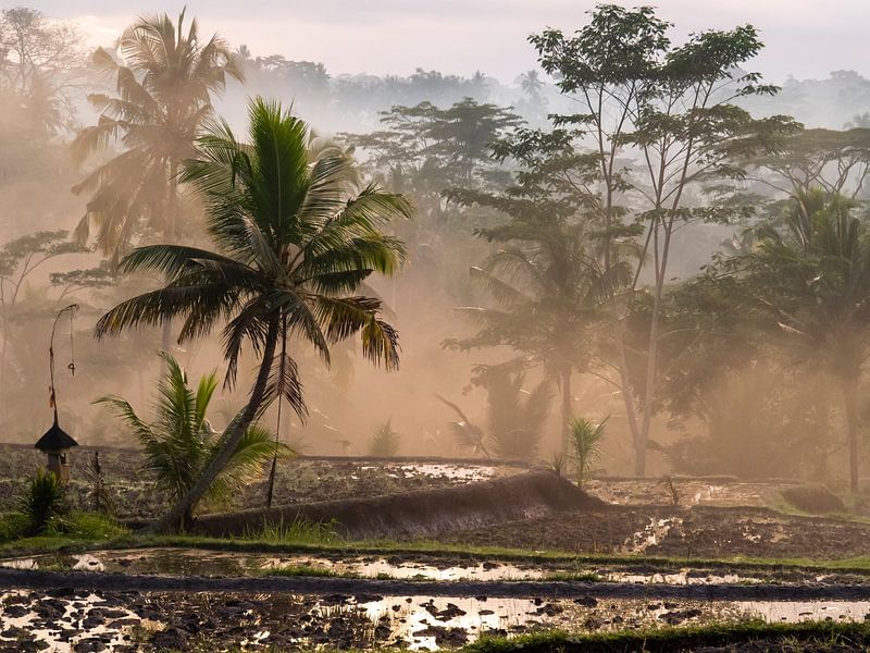 matin brumeux Bali par Egbert de Ruiter