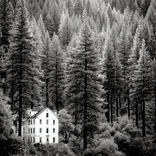 House in the woods by Vlindertuin-Art