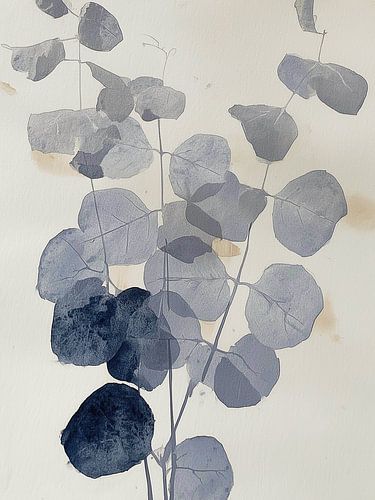 Eucalyptus en nuances de bleu