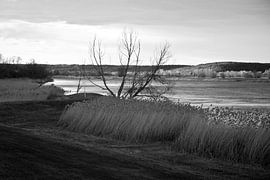 Dramatic atmosphere on the Oder in Zollbrücke