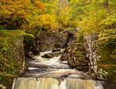 Waterfall in autumn by Irma Meijerman thumbnail