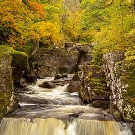 Waterfall in autumn by Irma Meijerman