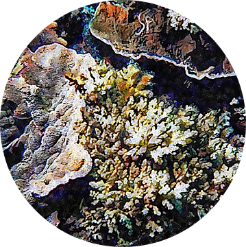 Verlicht koraal van Dorothy Berry-Lound