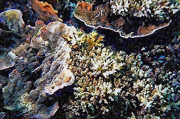Verlicht koraal van Dorothy Berry-Lound