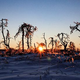 Vurige zonsondergang in winters landschap van Ruben Gielissen