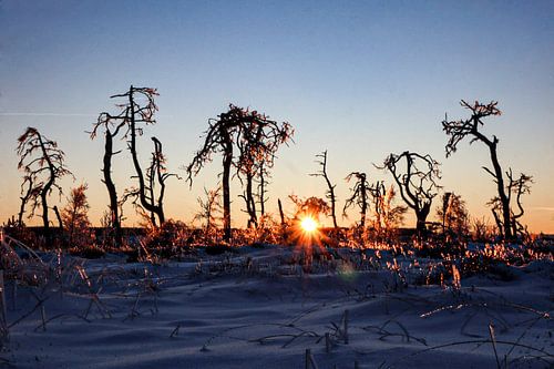Vurige zonsondergang in winters landschap van Ruben Gielissen