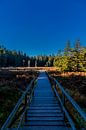 Herfstwandeling op de hoogten van het Thüringer Wald van Oliver Hlavaty thumbnail