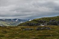 Auf dem Gipfel des Norwegischen Gebirges von Naomi Elshoff Miniaturansicht