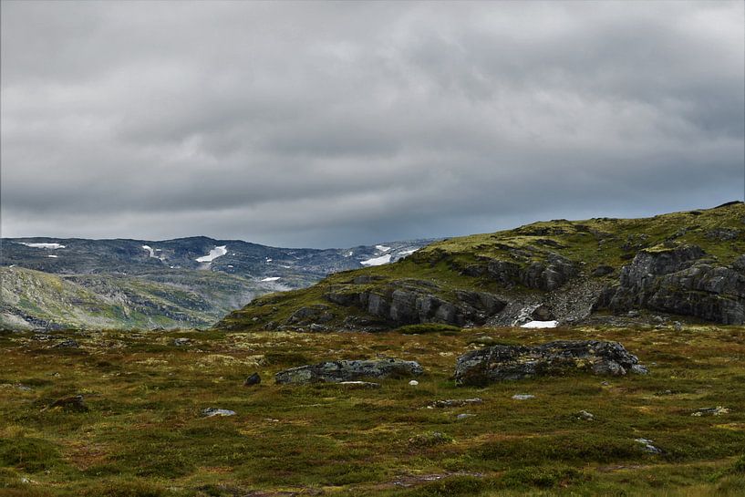 Auf dem Gipfel des Norwegischen Gebirges von Naomi Elshoff
