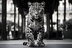 Leopard in den Straßen von Paris #2