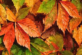 Blattwerk II von Andreas Wemmje