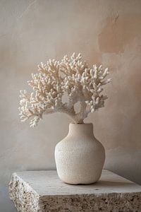 Nature morte atmosphérique avec corail blanc sur table en béton