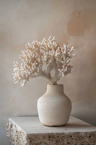 Sfeervol stilleven met wit koraal op betonnen tafel