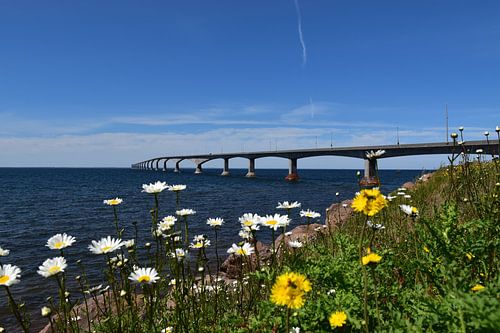 Confederation Bridge in de zomer