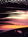 Palm leaf at sunset by Studio Patruschka thumbnail
