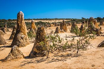 The Pinnacles - Australie