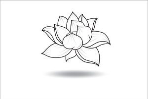 Fleur de lotus flottante