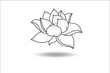 Lotus bloem zwevend