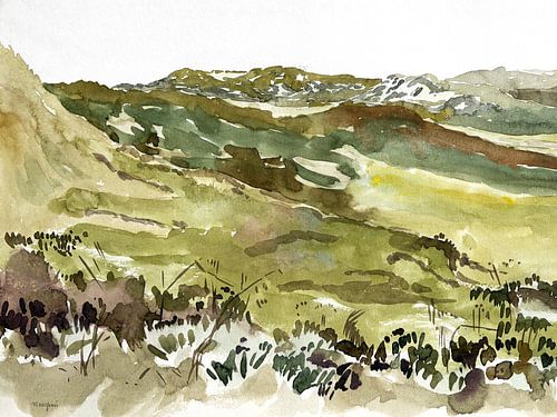 paysage de dunes