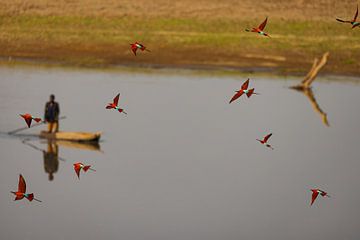 Dance of the gemstones: carmine spints over the still waters by Timo Musiol