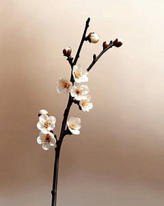 Räumliche Leere