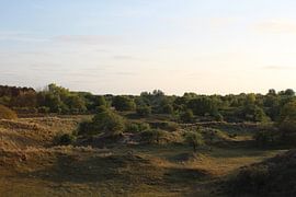 De duinen by Simon Breur